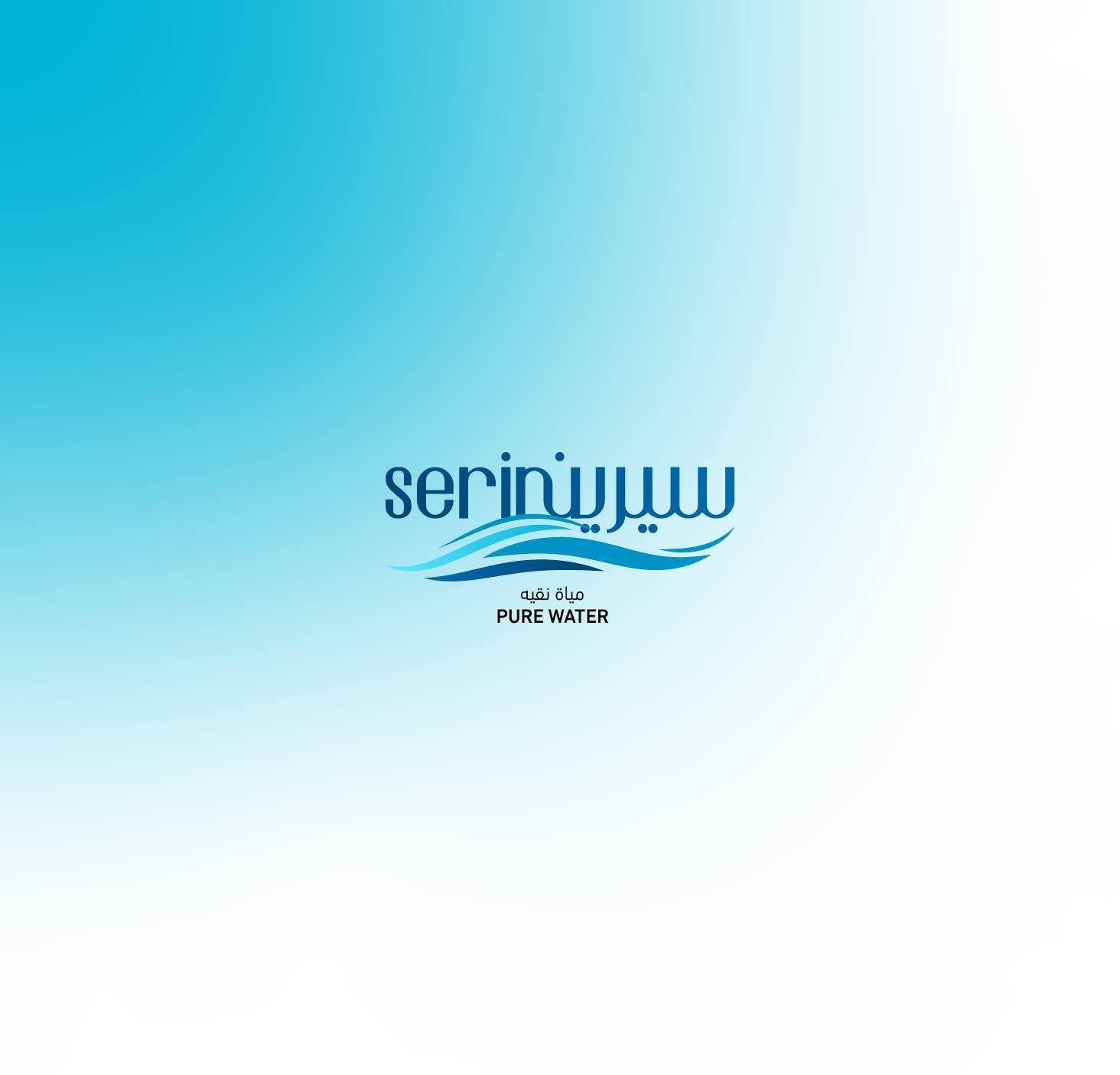Portfolio work 2